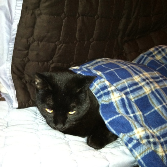 Meet your Posher, TCB - Picture 5 of 6